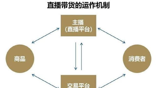 精準(zhǔn)抓取客戶資源與多樣化引流 網(wǎng)絡(luò)技術(shù)服務(wù)中的產(chǎn)品延伸策略